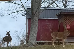 2455 Baker Williams Rd, Corinth, KY 41010 - Photo 44