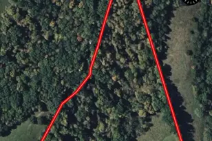 530 Rankin Mill Rd, Falmouth, KY 41040 - Photo 4