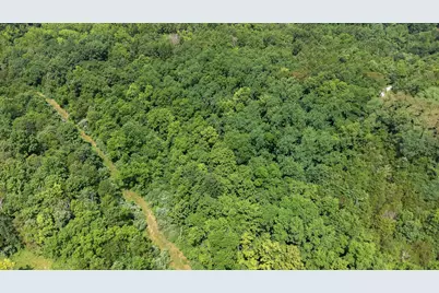 0 Meadowlark Lane, Williamstown, KY 41097 - Photo 6