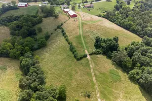 295 Fairview Rd, Williamstown, KY 41097 - Photo 42