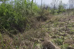 270 Cottonwood Dr, Dry Ridge, KY 41035 - Photo 18