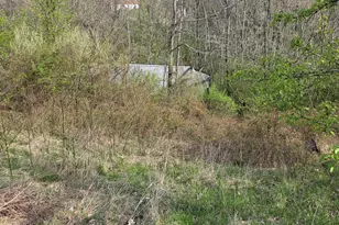 270 Cottonwood Dr, Dry Ridge, KY 41035 - Photo 18