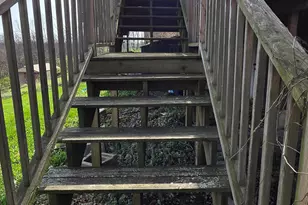 270 Cottonwood Dr, Dry Ridge, KY 41035 - Photo 16