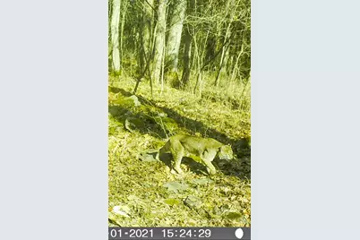 4077 Justin Scott Lane, Germantown, KY 41044 - Photo 42