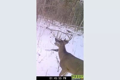 4077 Justin Scott Lane, Germantown, KY 41044 - Photo 48