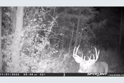 4077 Justin Scott Lane, Germantown, KY 41044 - Photo 46