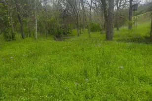 755 Reed Kinman Rd, Williamstown, KY 41097 - Photo 44