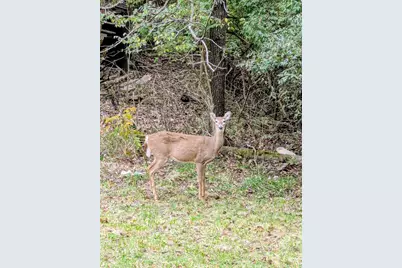 3255 Humes Ridge Road, Williamstown, KY 41097 - Photo 38