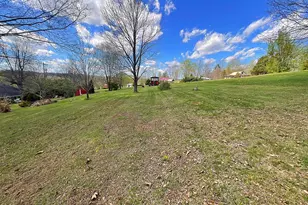 5551 Blue Licks Pike, Mount Olivet, KY 41064 - Photo 28