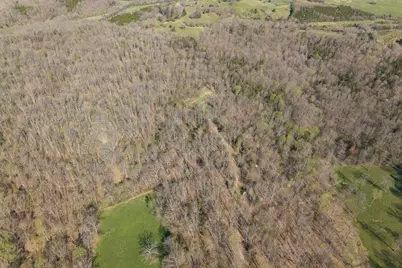 1810 Twin Creek Road, Sadieville, KY 40370 - Photo 30