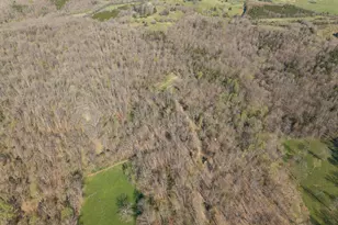 1810 Twin Creek Rd, Sadieville, KY 40370 - Photo 30