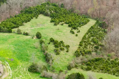 0 Par.A&b Gumlick Road, Falmouth, KY 41040 - Photo 30