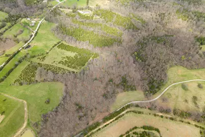 0 Par.A&b Gumlick Road, Falmouth, KY 41040 - Photo 26