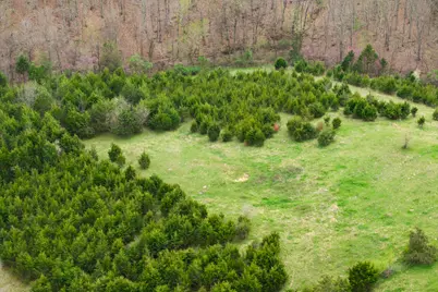 0 Parcel B Gumlick Road, Falmouth, KY 41040 - Photo 34