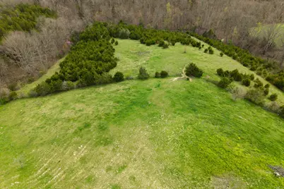 0 Parcel B Gumlick Road, Falmouth, KY 41040 - Photo 10