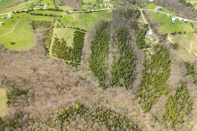 0 Parcel B Gumlick Road, Falmouth, KY 41040 - Photo 24