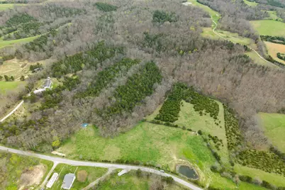 0 Parcel A Gumlick Road, Falmouth, KY 41040 - Photo 10