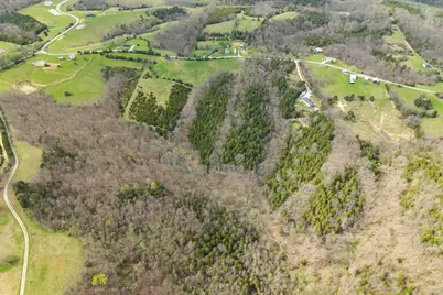 0 Parcel A Gumlick Road, Falmouth, KY 41040 - Photo 20