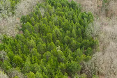 0 Parcel A Gumlick Road, Falmouth, KY 41040 - Photo 28