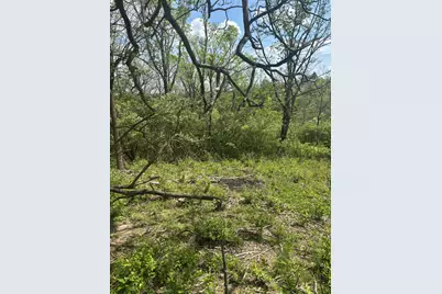 85 Kentucky Drive, Newport, KY 41071 - Photo 4