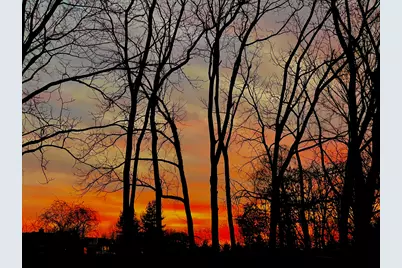 1545 Linden Court, Florence, KY 41042 - Photo 46