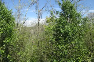 3988 Country Mill Ridge, Burlington, KY 41005 - Photo 20