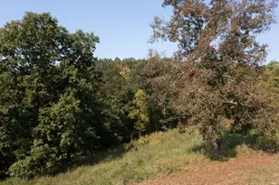 0 Roselawn Dr, Williamstown, KY 41097 - Photo 14