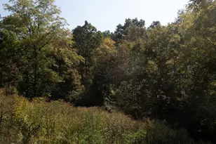 0 Roselawn Dr, Williamstown, KY 41097 - Photo 16