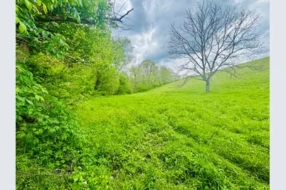 45 Acres Chipman Ridge Road #43 Acres, +/-, Williamstown, KY 41097 - Photo 16