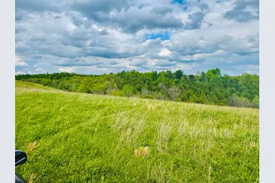 45 Acres Chipman Ridge Road #43 Acres, +/-, Williamstown, KY 41097 - Photo 4