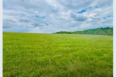 45 Acres Chipman Ridge Road #43 Acres, +/-, Williamstown, KY 41097 - Photo 8