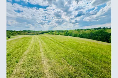 45 Acres Chipman Ridge Road #43 Acres, +/-, Williamstown, KY 41097 - Photo 6
