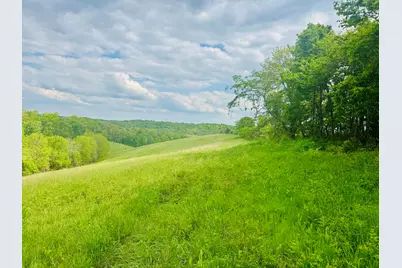 45 Acres Chipman Ridge Road #43 Acres, +/-, Williamstown, KY 41097 - Photo 10