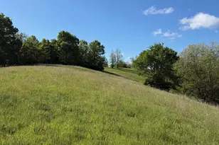 11 19 Ac Chipman Ridge Rd, Williamstown, KY 41097 - Photo 6