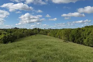 14 17 Ac Chipman Ridge Rd, Williamstown, KY 41097 - Photo 2