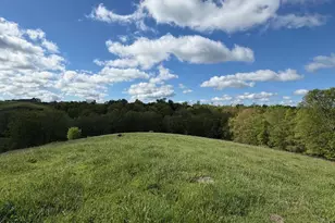 14 17 Ac Chipman Ridge Rd, Williamstown, KY 41097 - Photo 8