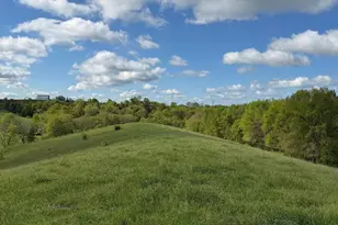 14 17 Ac Chipman Ridge Rd, Williamstown, KY 41097 - Photo 6