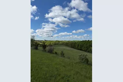 14.17 Ac Chipman Ridge Road, Williamstown, KY 41097 - Photo 16