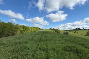 14 17 Ac Chipman Ridge Rd, Williamstown, KY 41097 - Photo 10