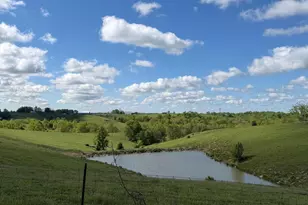 20 99 Ac Chipman Ridge Rd, Williamstown, KY 41097 - Photo 2