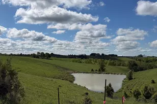 20 99 Ac Chipman Ridge Rd, Williamstown, KY 41097 - Photo 4