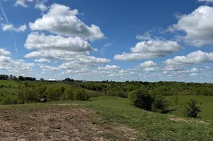 20 99 Ac Chipman Ridge Rd, Williamstown, KY 41097 - Photo 12