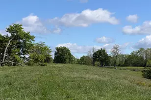 24 81 Ac Chipman Ridge Rd, Williamstown, KY 41097 - Photo 14
