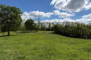 24 81 Ac Chipman Ridge Rd, Williamstown, KY 41097 - Photo 2