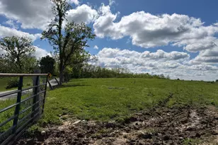 24 81 Ac Chipman Ridge Rd, Williamstown, KY 41097 - Photo 4