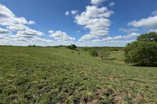 24 81 Ac Chipman Ridge Rd, Williamstown, KY 41097 - Photo 6