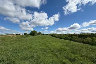 24 81 Ac Chipman Ridge Rd, Williamstown, KY 41097 - Photo 12