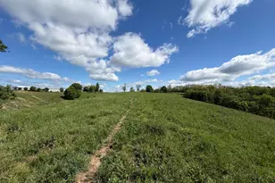 24 81 Ac Chipman Ridge Rd, Williamstown, KY 41097 - Photo 10