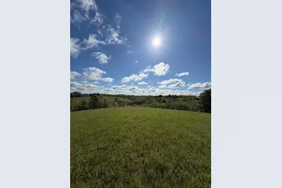 32.28 Ac Chipman Ridge Road, Williamstown, KY 41097 - Photo 6