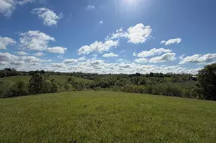 32 28 Ac Chipman Ridge Rd, Williamstown, KY 41097 - Photo 6